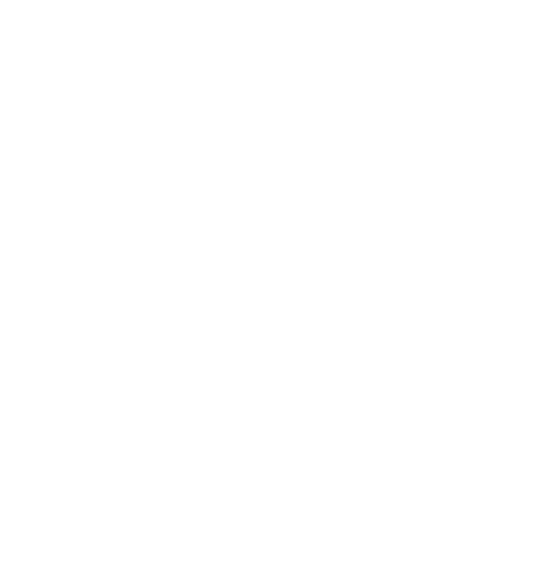 Logo BT Segurança